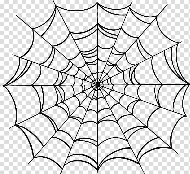 Spider web Drawing , spider transparent background PNG clipart