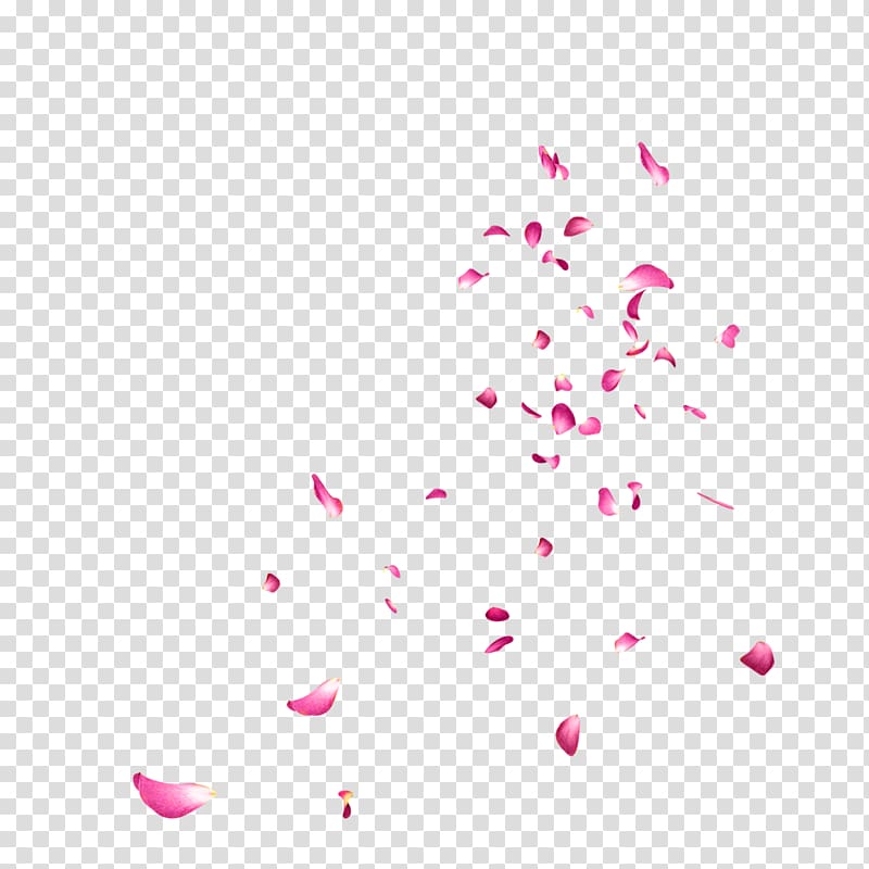 Pink And White Picsart Icon