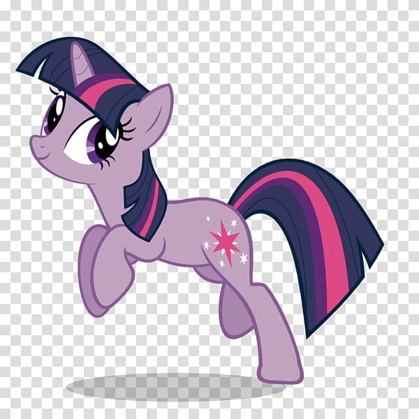 Pony Twilight Sparkle Rainbow Dash Flash Sentry, others transparent background PNG clipart