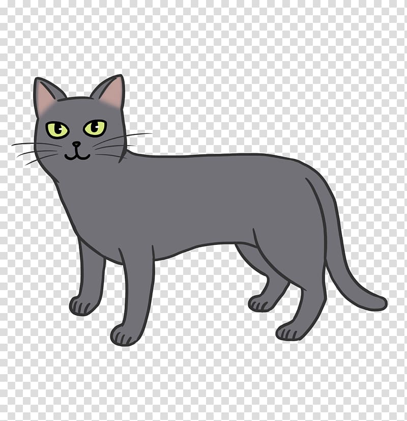 Manx cat Whiskers Korat American Wirehair Burmese cat, kitten transparent background PNG clipart