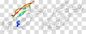 Mammal Line art Drawing, design transparent background PNG clipart thumbnail