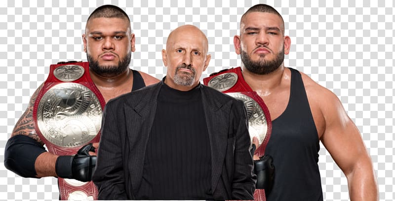 The Authors of Pain WWE Championship Professional Wrestler NXT Tag Team Championship WWE Raw Tag Team Championship, headache transparent background PNG clipart