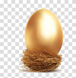 Golden Egg Png - Golden Egg Check - Free Transparent PNG Download - PNGkey