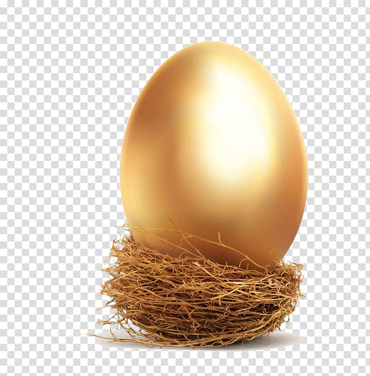 Golden Egg In A Nest With Leaves PNG Images