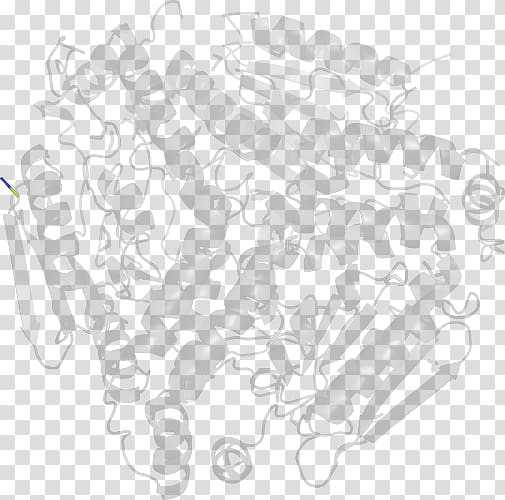 White Point, design transparent background PNG clipart