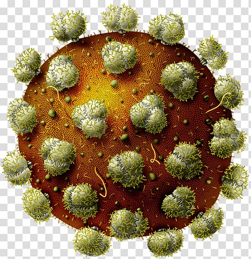 AIDS HIV vaccine Virus Immunodeficiency, sterilized virus antibody transparent background PNG clipart