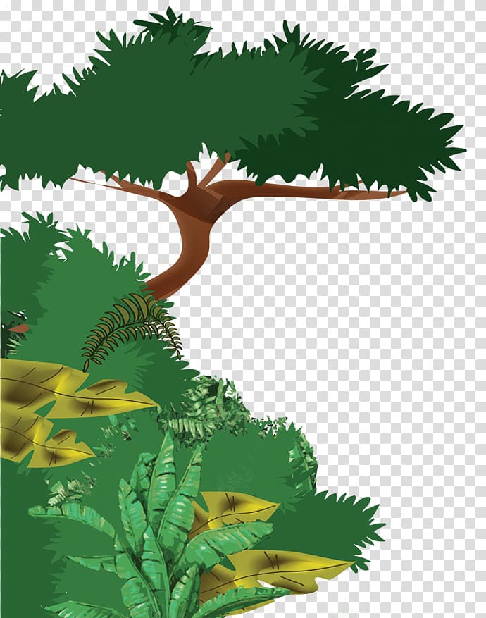 tropical rainforest clipart