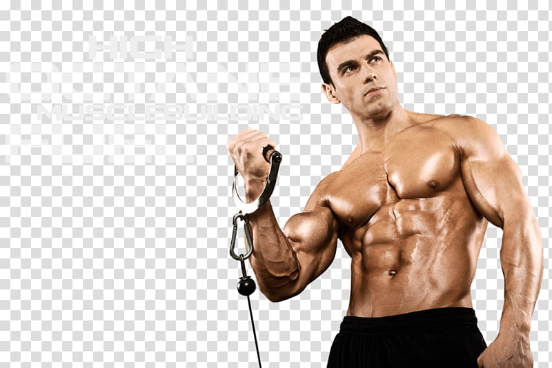 Growth hormone Anabolic steroid Estrogen, muscle transparent background PNG clipart
