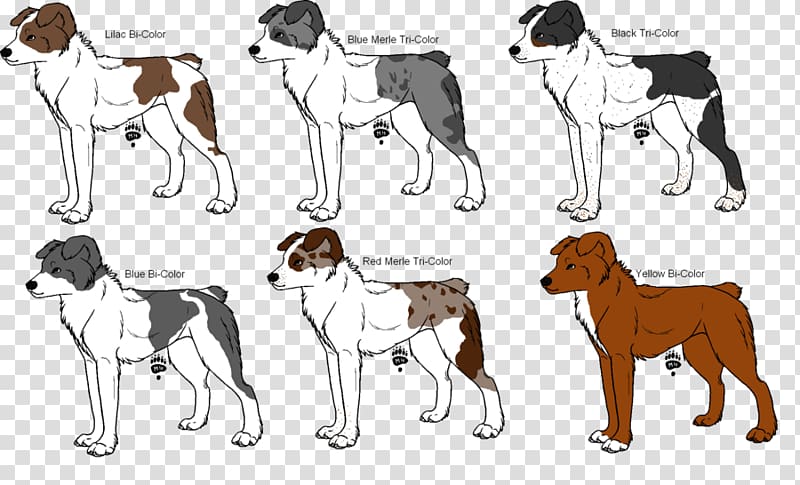 Dog breed American Foxhound English Foxhound Harrier Australian Shepherd, australian shepherd transparent background PNG clipart