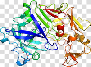 Line Art Point , line transparent background PNG clipart thumbnail