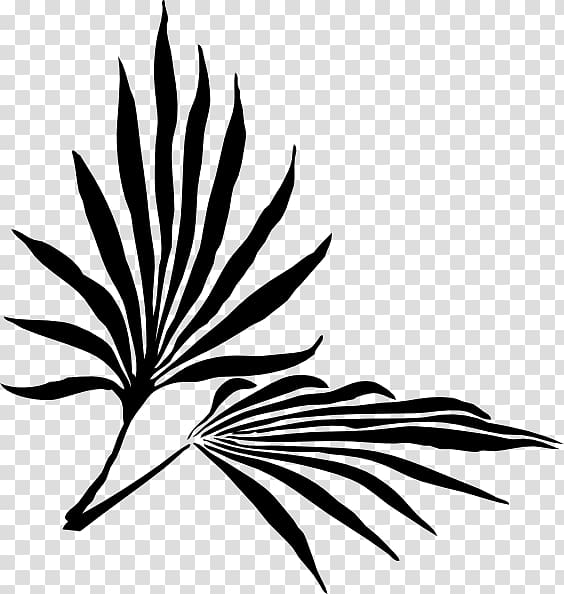 Palm branch Frond , others transparent background PNG clipart