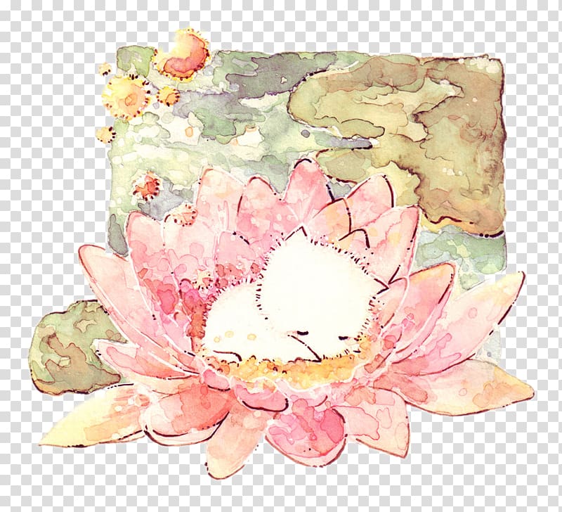 Kitten Cat Drawing, Cute kitten sleeping on a lotus transparent background PNG clipart