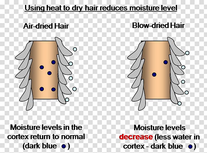 Drying Hair Dryers Humidity Moisture, heat stroke transparent background PNG clipart