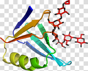 Line Point , line transparent background PNG clipart thumbnail