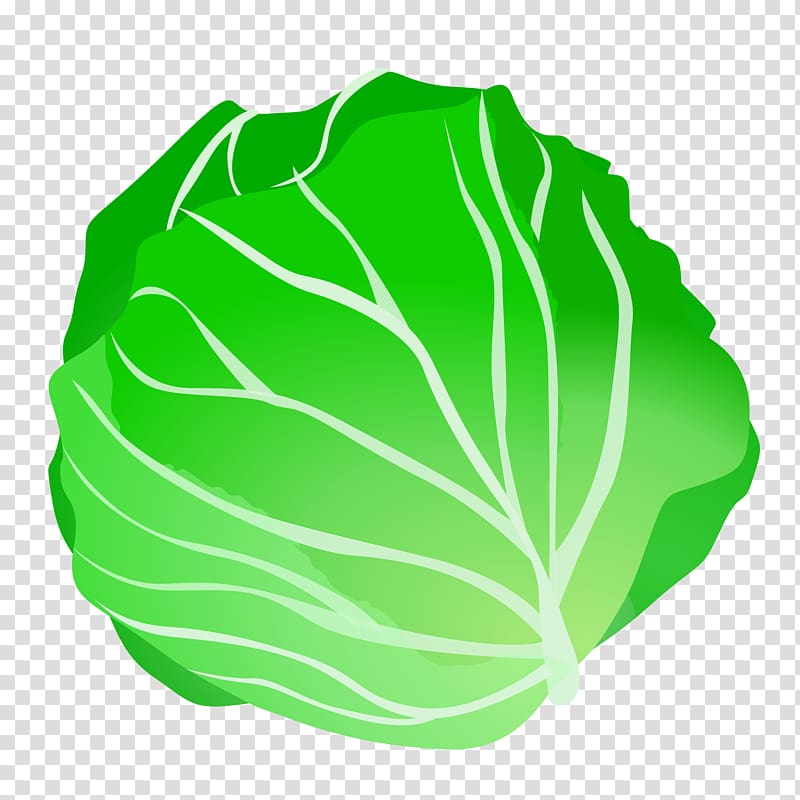 Vegetable Lettuce Fruit , Cabbage transparent background PNG clipart