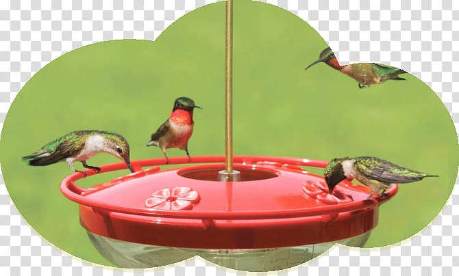 Hummingbird Bird Feeders Wild Birds Unlimited Bird feeding, Bird Feeder transparent background PNG clipart