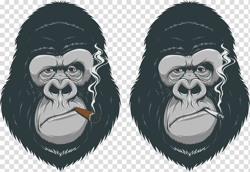 Gorilla Primate Chimpanzee Ape, gorilla transparent background PNG clipart