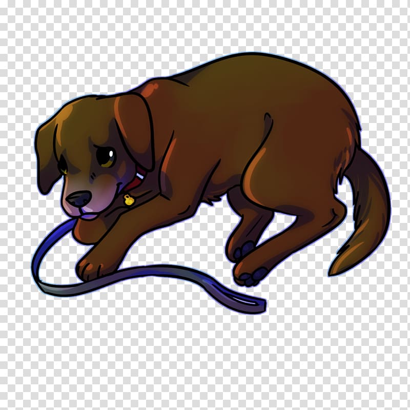 Dog breed Puppy Cat Snout, competiton transparent background PNG clipart