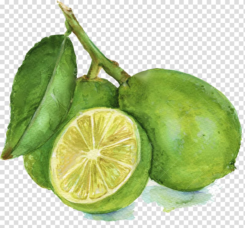 Lemon-lime drink Lemon-lime drink Persian lime Key lime, lemon transparent background PNG clipart