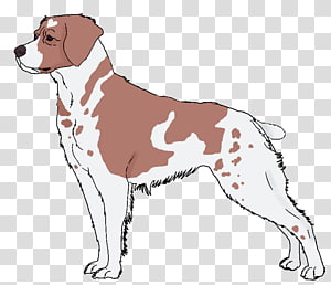 Dog breed Companion dog Spaniel , Dog transparent background PNG clipart thumbnail