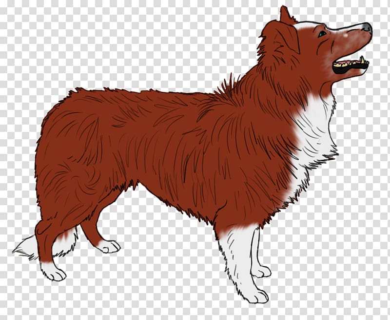 Dog breed Icelandic Sheepdog German Shepherd Puppy Poodle, puppy transparent background PNG clipart