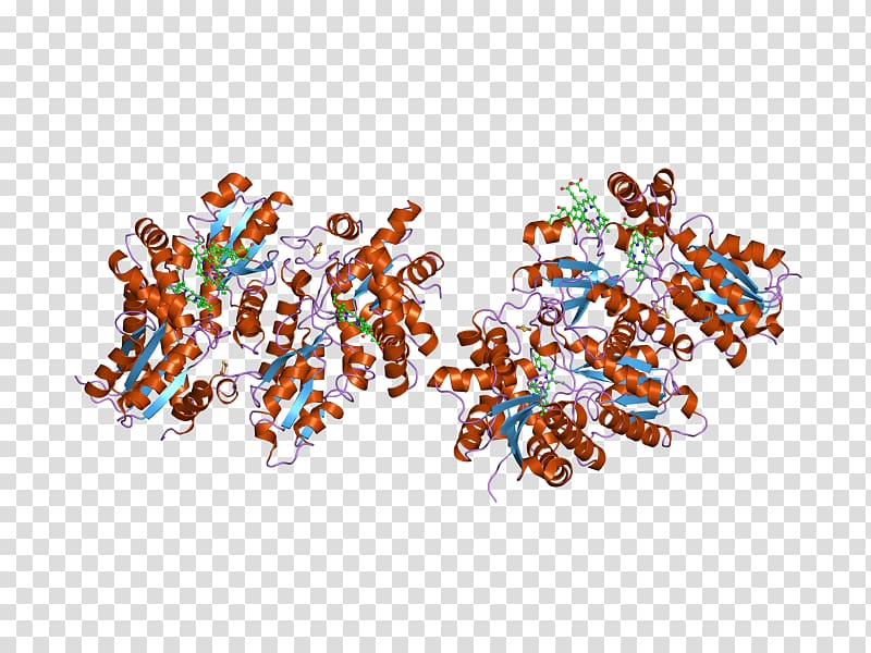 Ferrochelatase Heme B Enzyme Protoporphyrin IX, iron transparent background PNG clipart