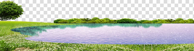 calm water surrounded by green grass at daytime, Grass Lake Green, Green lake transparent background PNG clipart
