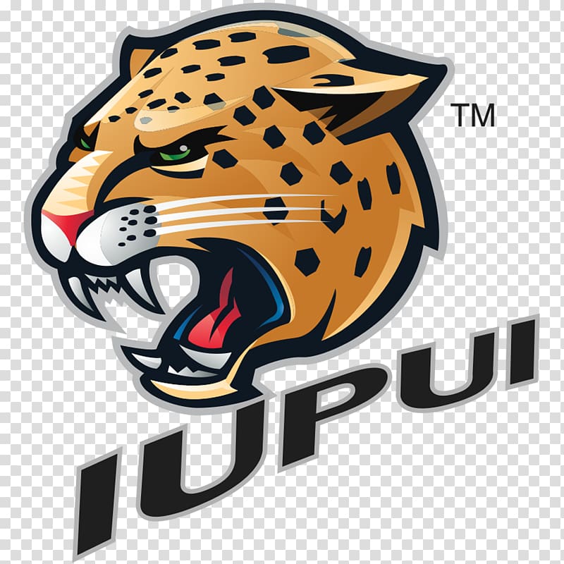 Indiana University – Purdue University Indianapolis IUPUI Jaguars men's basketball IUPUI Jaguars women's basketball Horizon League, basketball transparent background PNG clipart