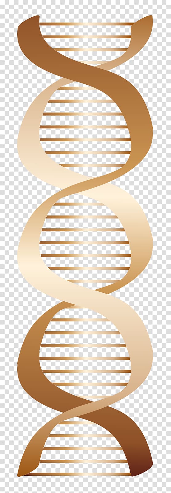 DNA Computer Icons , DNA transparent background PNG clipart