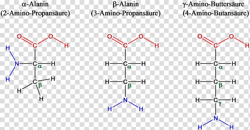 Amino acid Amino talde β-Alanine Alpha, Alphabeta transparent background PNG clipart