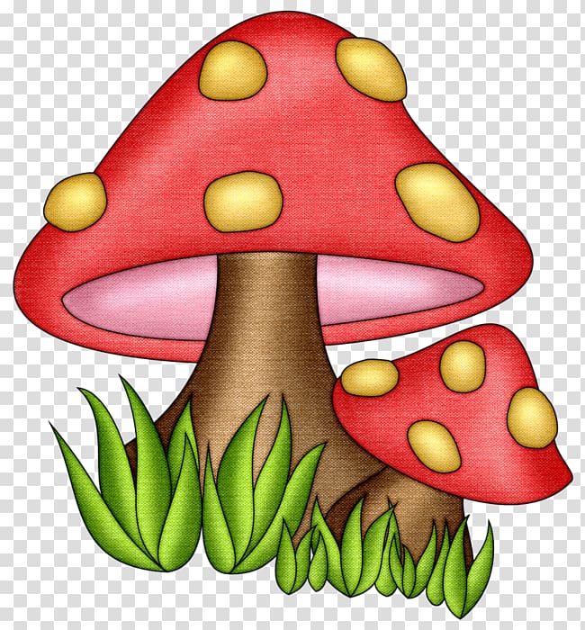 Edible mushroom graphics Drawing, mushroom transparent background PNG clipart