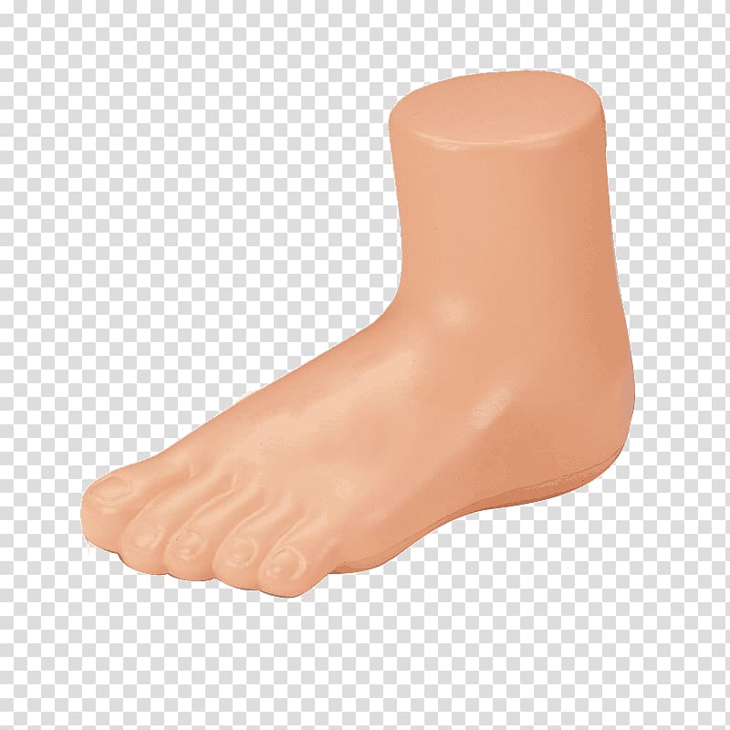 Foot Mannequin Shoe Sock Sandal, feet transparent background PNG clipart