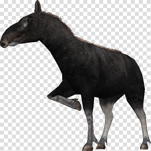 Mule Zoo Tycoon 2 Proboscidipparion Mustang Stallion, mustang transparent background PNG clipart