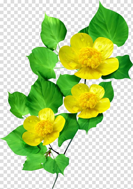 Flower Petal Animaatio, flower transparent background PNG clipart