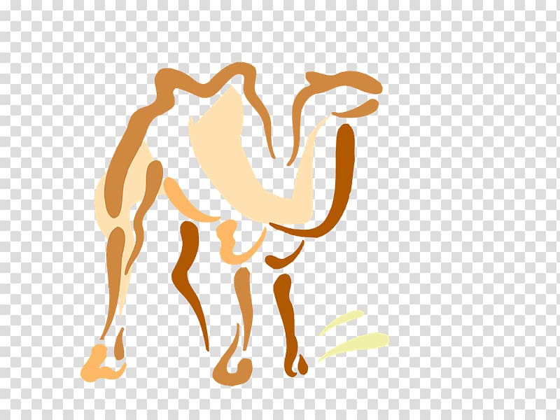 Camel Dromedary Drawing , Camel caravan transparent background PNG clipart