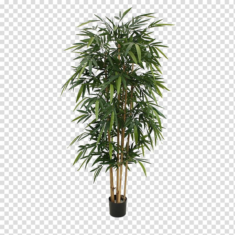 Weeping fig Bamboo Houseplant Tree Silk, large potted plants transparent background PNG clipart