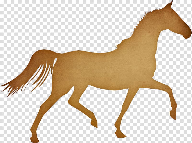 Pony Arabian horse Trot Cap Equestrian, Cap transparent background PNG clipart
