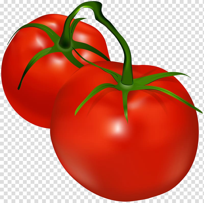 two red tomatoes illustration, Tomato Shalgam , Tomatoes transparent background PNG clipart