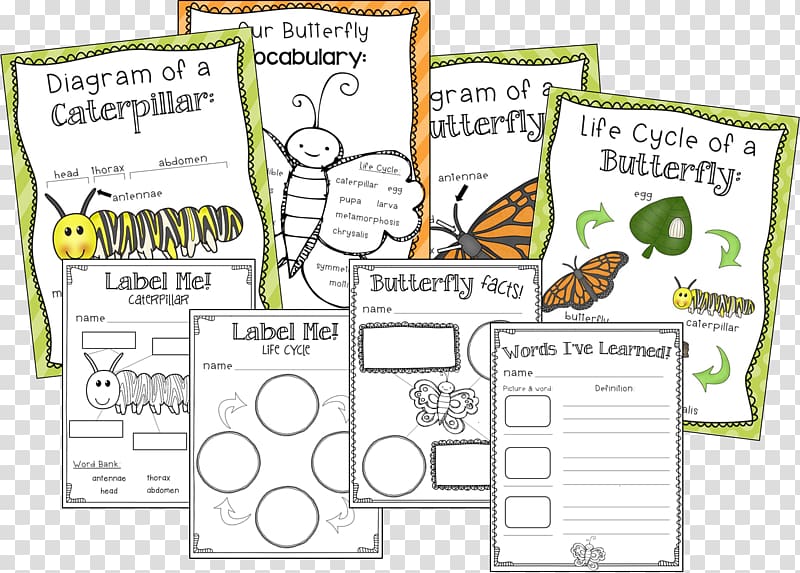 Butterfly First grade Insect School Literacy, thank god transparent background PNG clipart