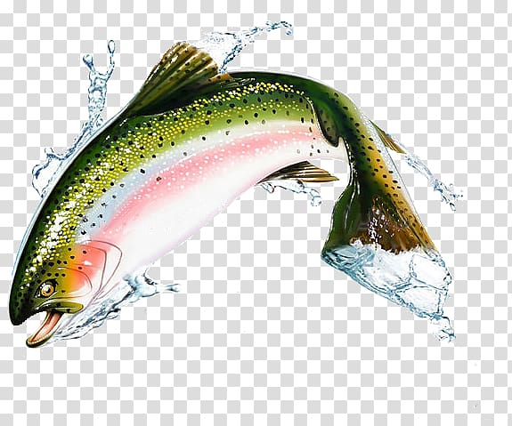https://p7.hiclipart.com/preview/744/496/872/aquadvantage-salmon-sockeye-salmon-stock-photography-pink-salmon-others.jpg