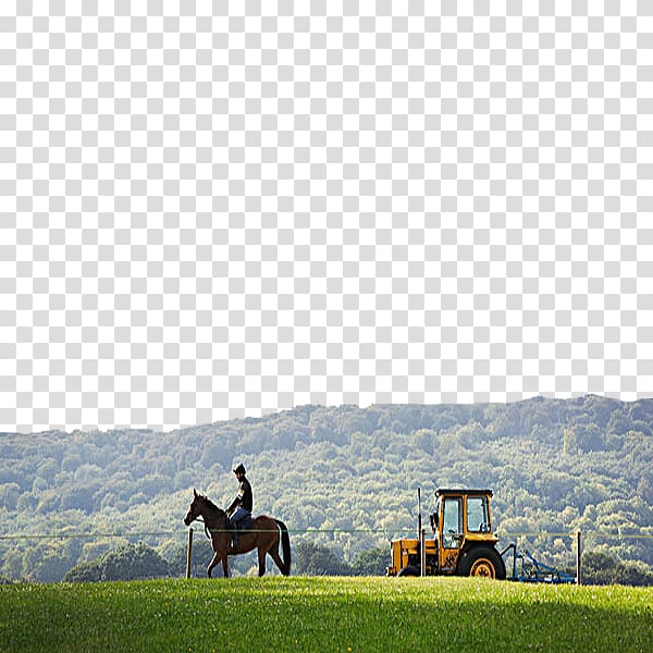 Tractor Equestrianism, Man on horseback transparent background PNG clipart
