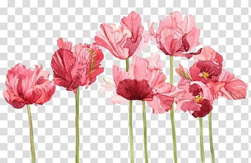 Watercolor painting Tulip Watercolor: Flowers Art, painting transparent background PNG clipart