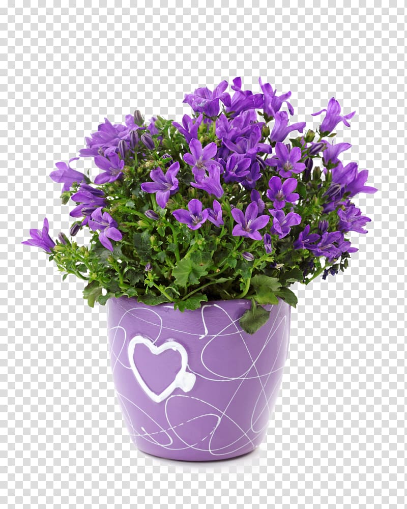 Bellflowers Cachepot Ceramic Garden Vase, vase transparent background PNG clipart