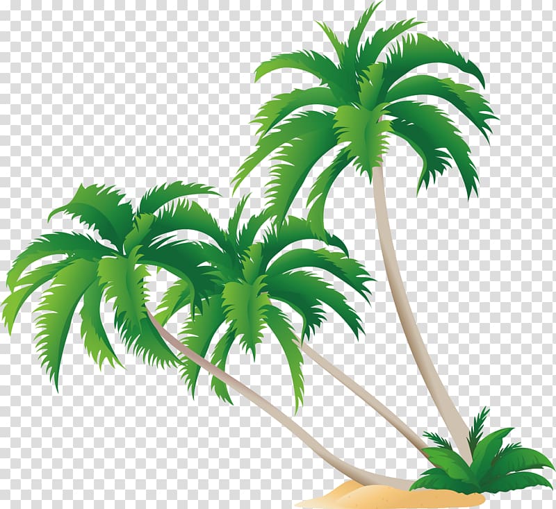 green palm tree , High-definition video Display resolution , Green coconut tree transparent background PNG clipart