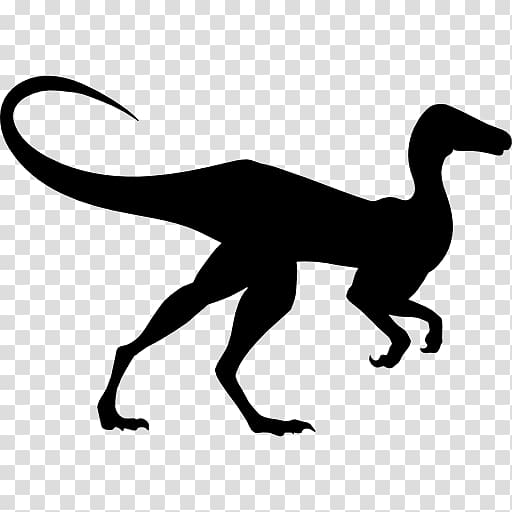 Compsognathus Brachiosaurus Dinosaur Gigantoraptor Diplodocus, dinosaur transparent background PNG clipart