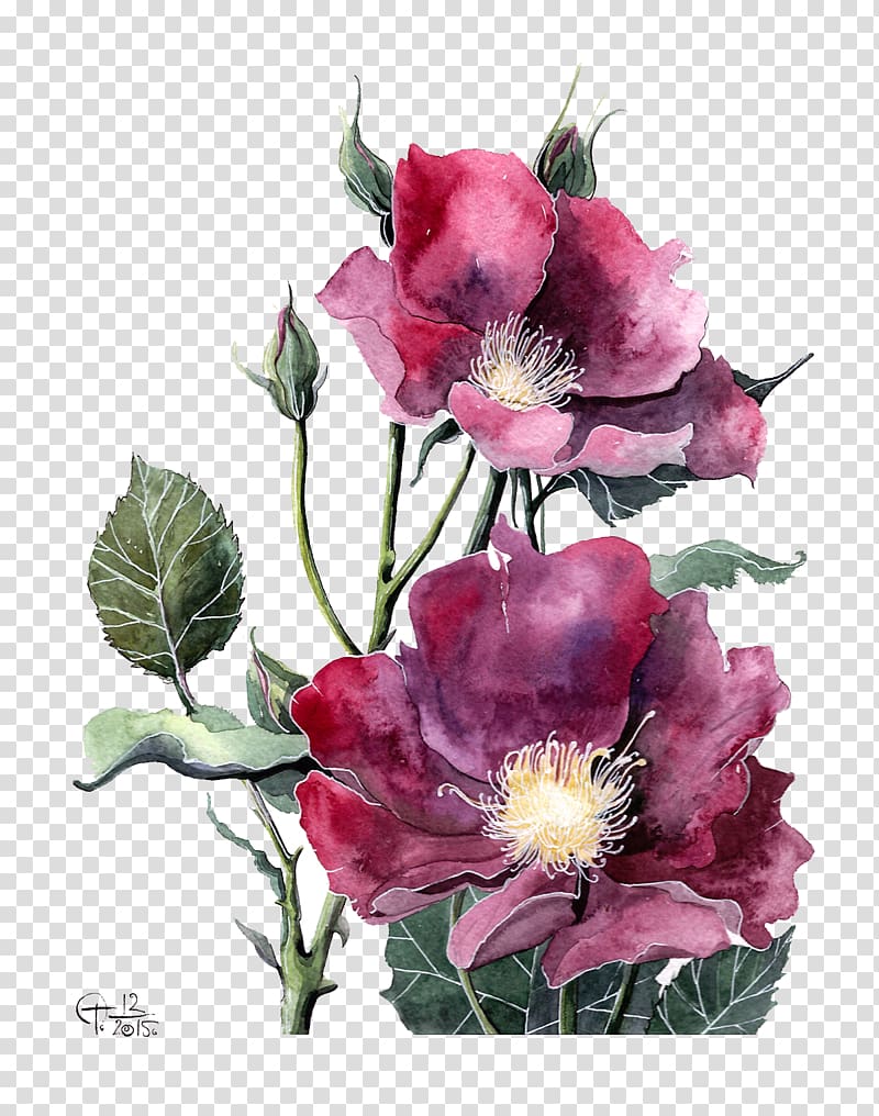 two pink flowers illustration, Watercolor painting Peony Flower Illustration, Watercolor red peony transparent background PNG clipart