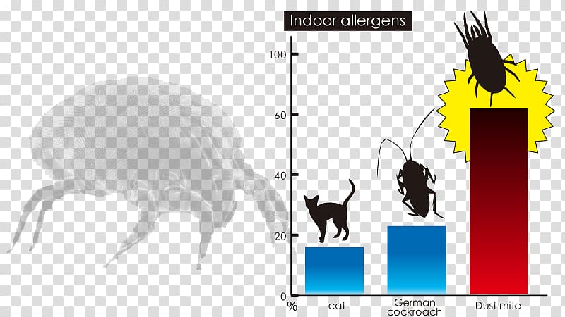 Cat House dust mite Allergy, Dust mites transparent background PNG clipart