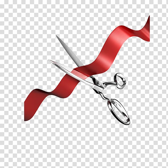 Ribbon Information Service Software development, Red ribbon transparent background PNG clipart