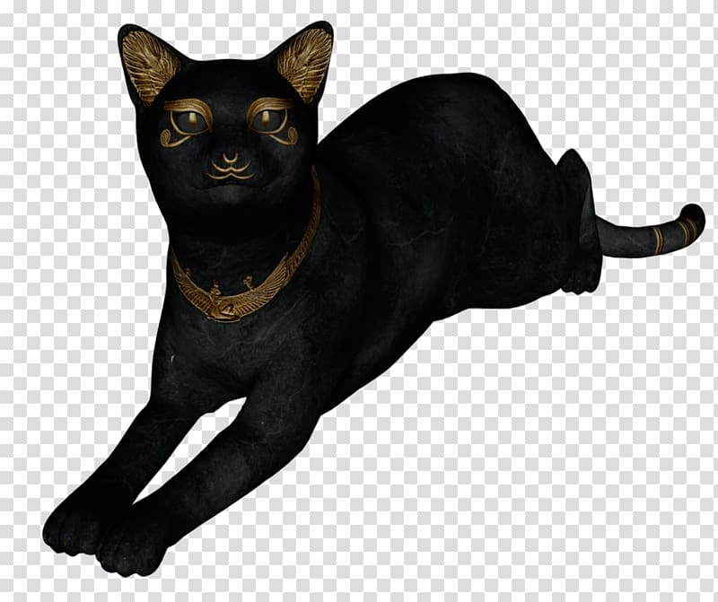 Black cat Bombay cat Malayan cat Havana Brown Egyptian Mau, kitten transparent background PNG clipart