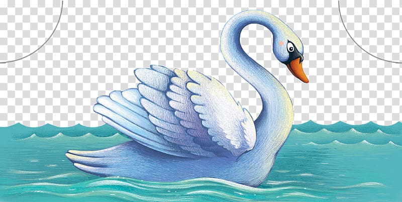 Cygnini Duck Illustration, Beautifully hand-painted swan swimming transparent background PNG clipart